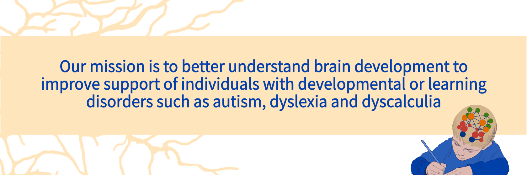 Our mission is to better understand brain development to improve support of individuals with developmental or learning disorders such as autism, dyslexia and dyscalculia.